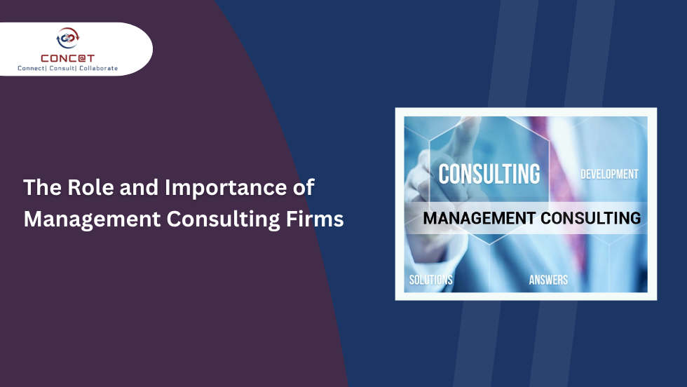 The Role and Importance of Management Consulting Firms